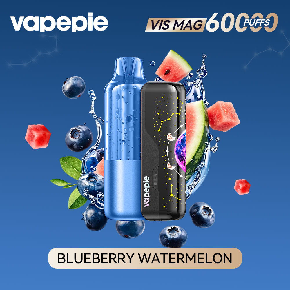 BLUEBERRY WATRMELON-VIS MAG 60000 PUFFS+Pod combo pack