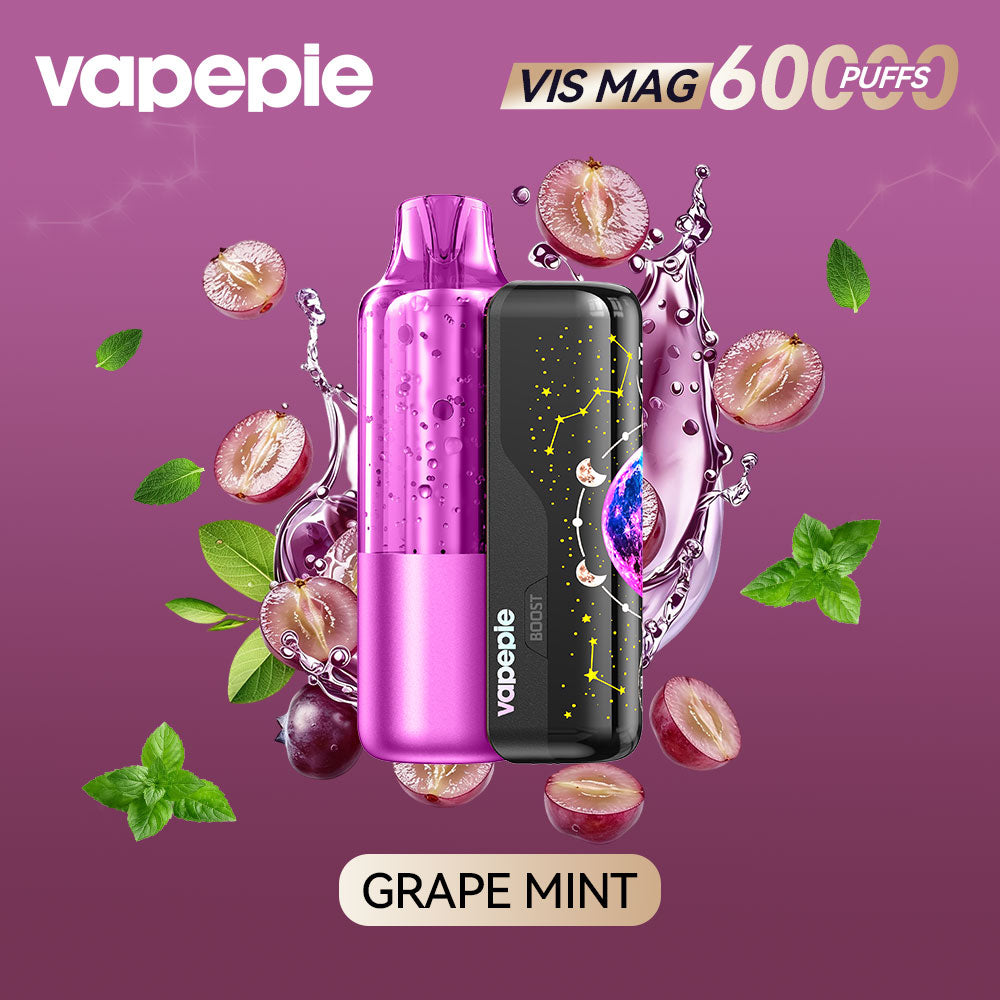 GRAPE MINT-VIS MAG 60000 PUFFS+Pod combo pack